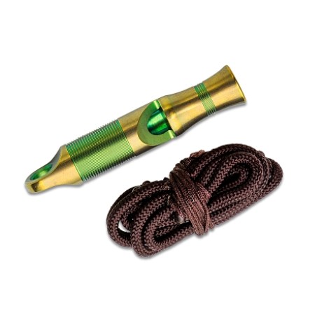 09WE063